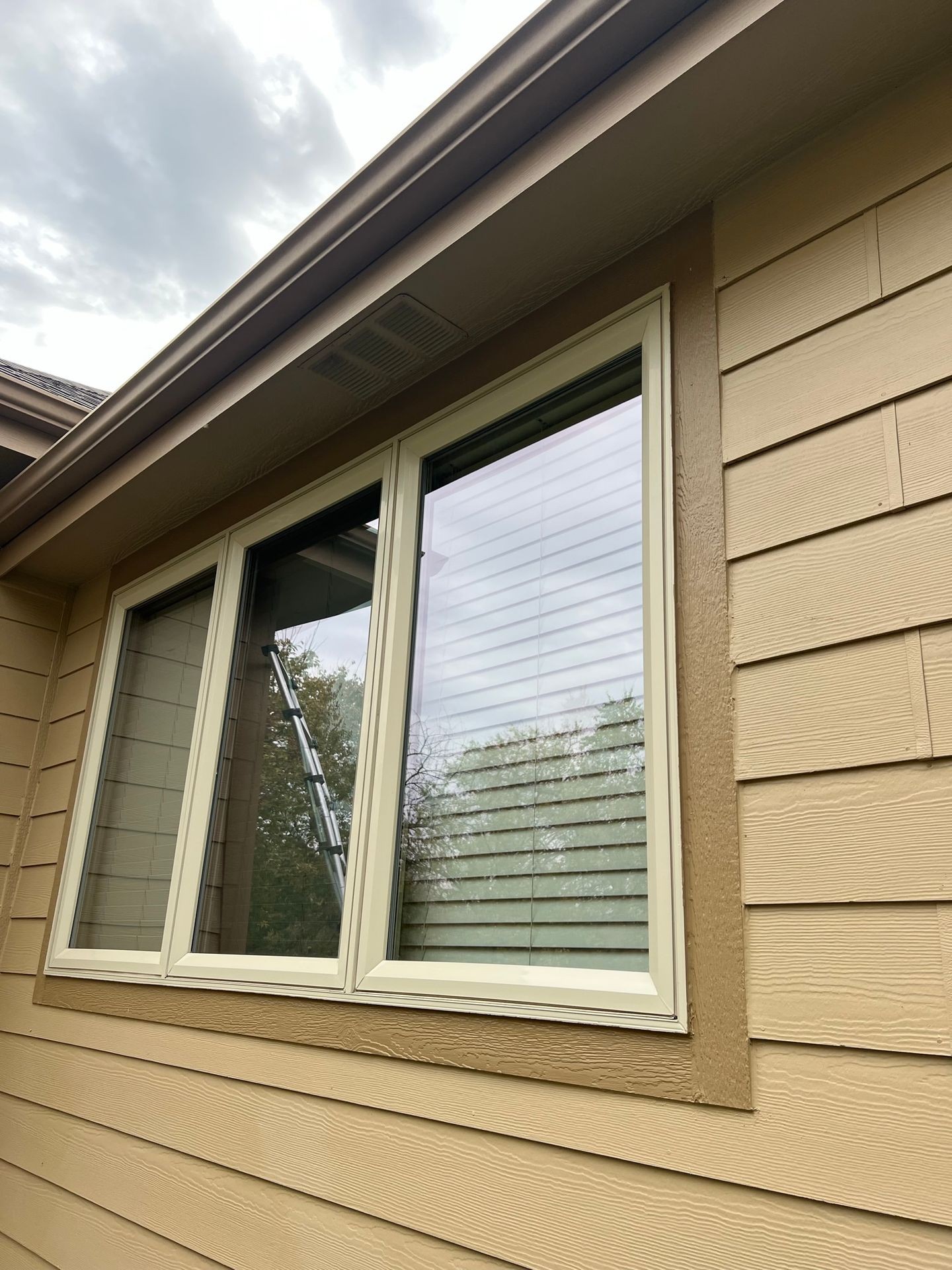 Freshly clean windows on a house during daytime